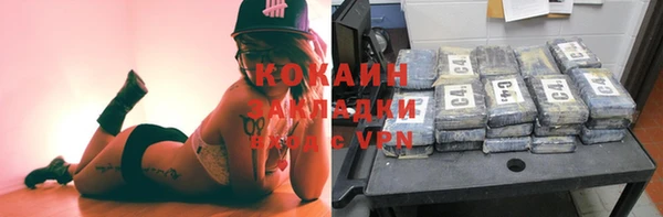 мдпв Каменка