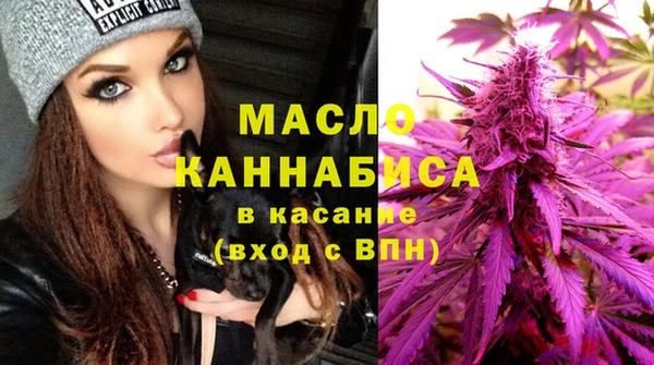 мдпв Каменка