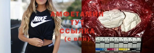 мдпв Каменка
