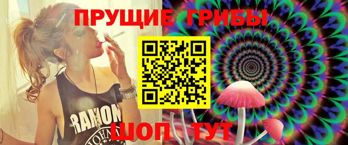 где найти наркотики  Вход с VPN  Стерлитамак  Галлюциногенные грибы GOLDEN TEACHER 