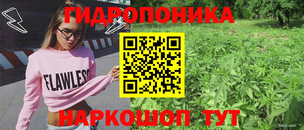 Шишки марихуана сатива Стерлитамак